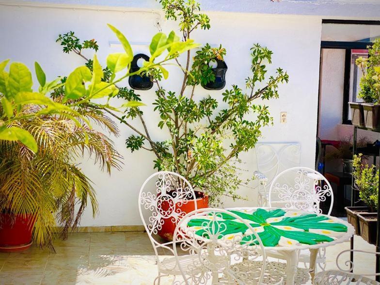 Casa Mexicana Hotel Гуанахуато Екстериор снимка